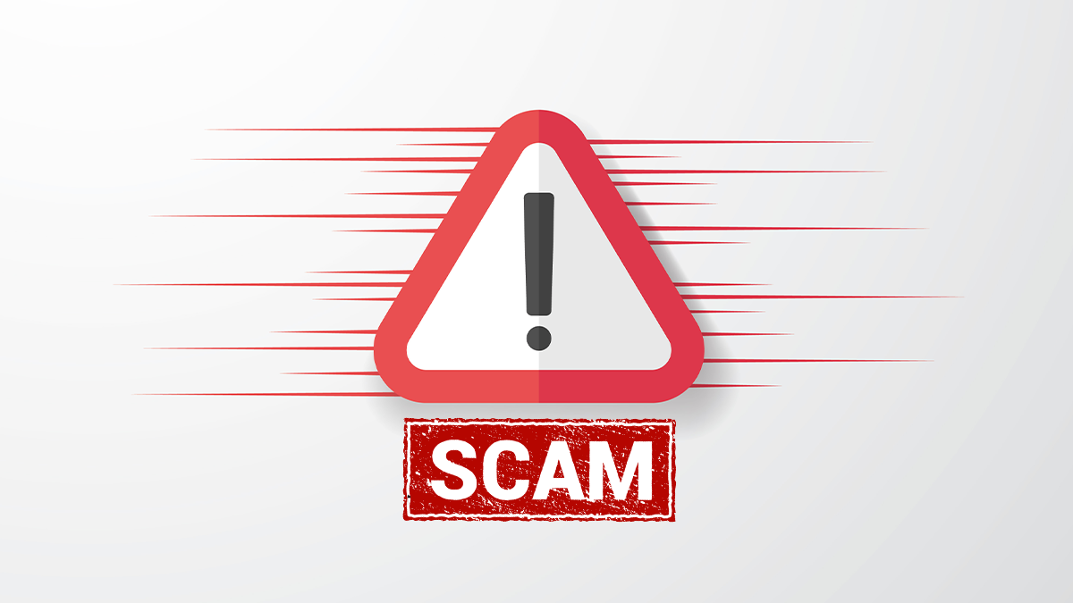 What is Scamming System?